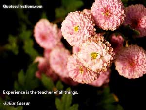 Julius Caesar Quotes 1